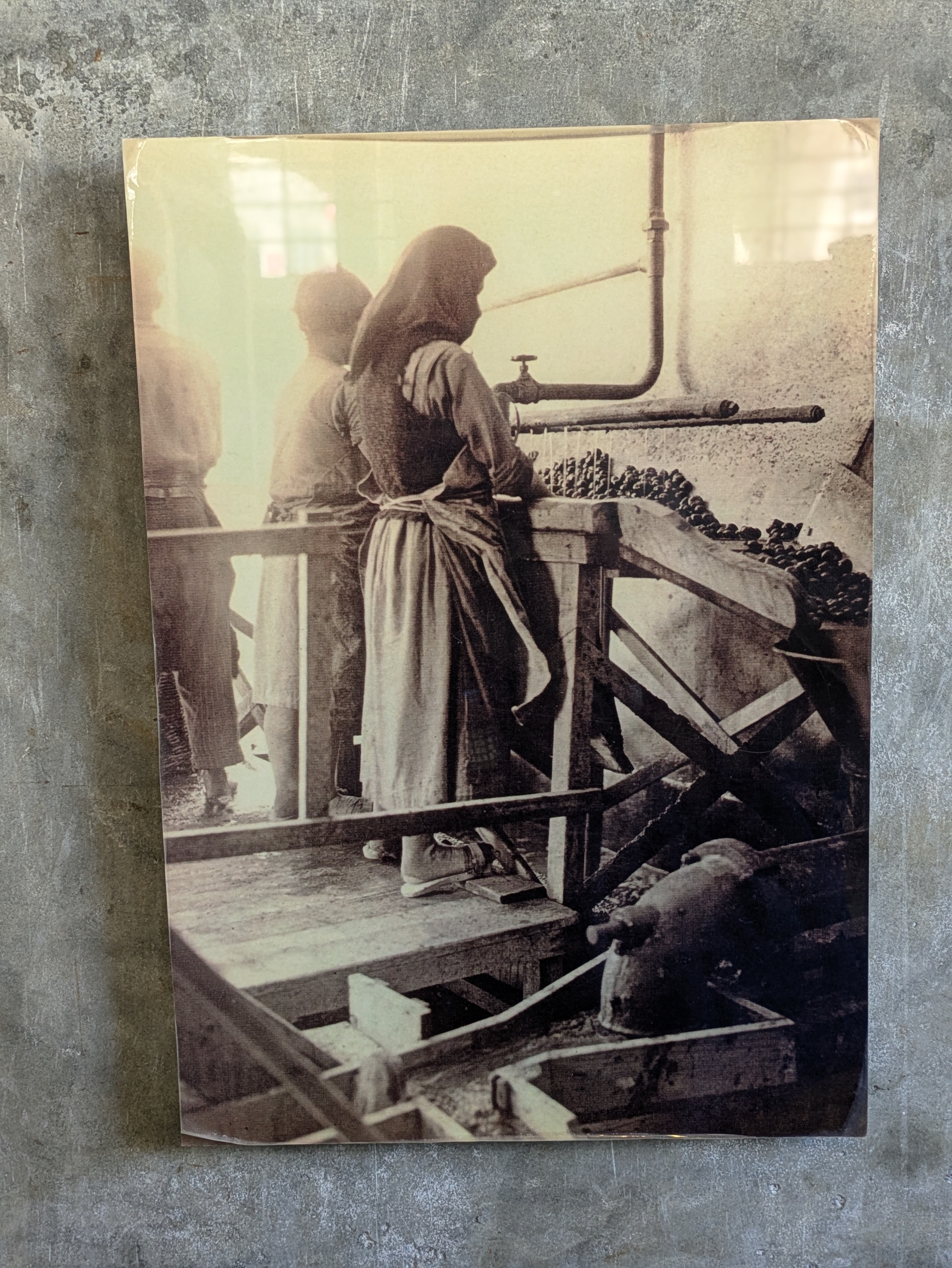 Santorini's Tomato Industry