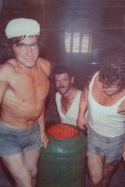 Santorini's Tomato Industry