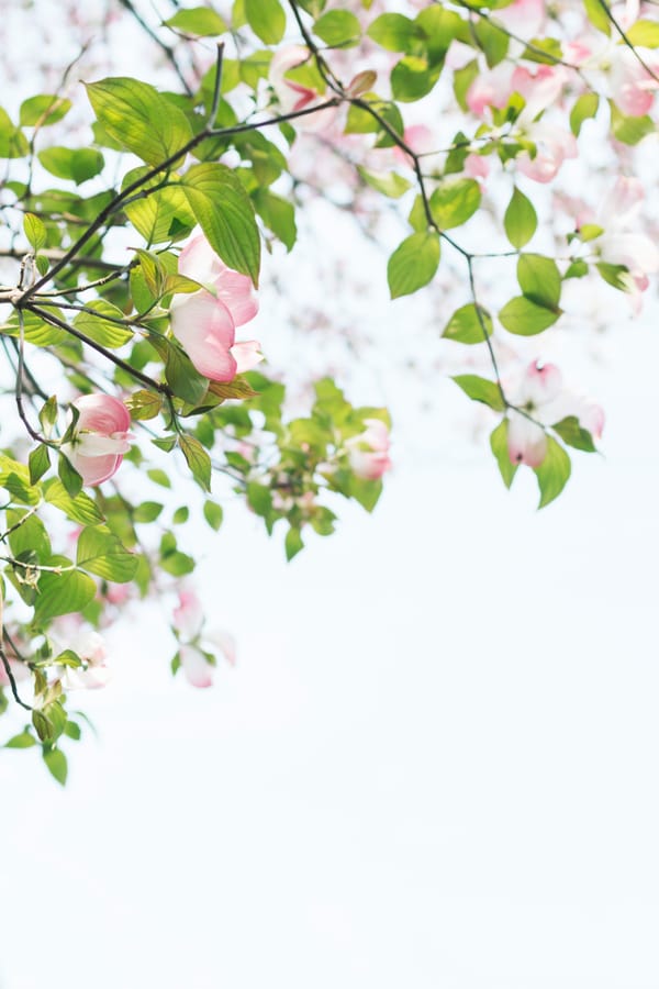 Seasonal Rereads